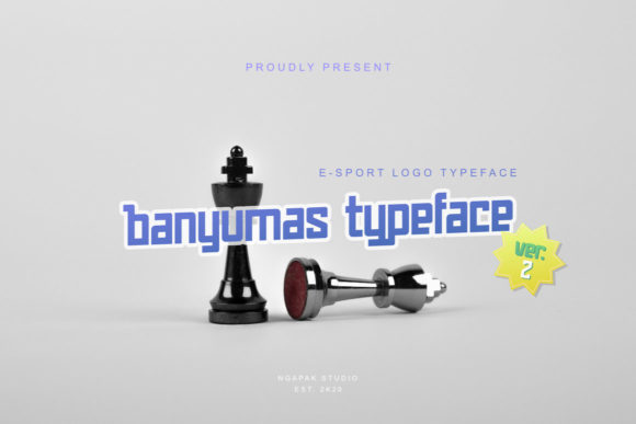 Evaluating Banyumas 2.0 for High-Impact Visual Identity Projects